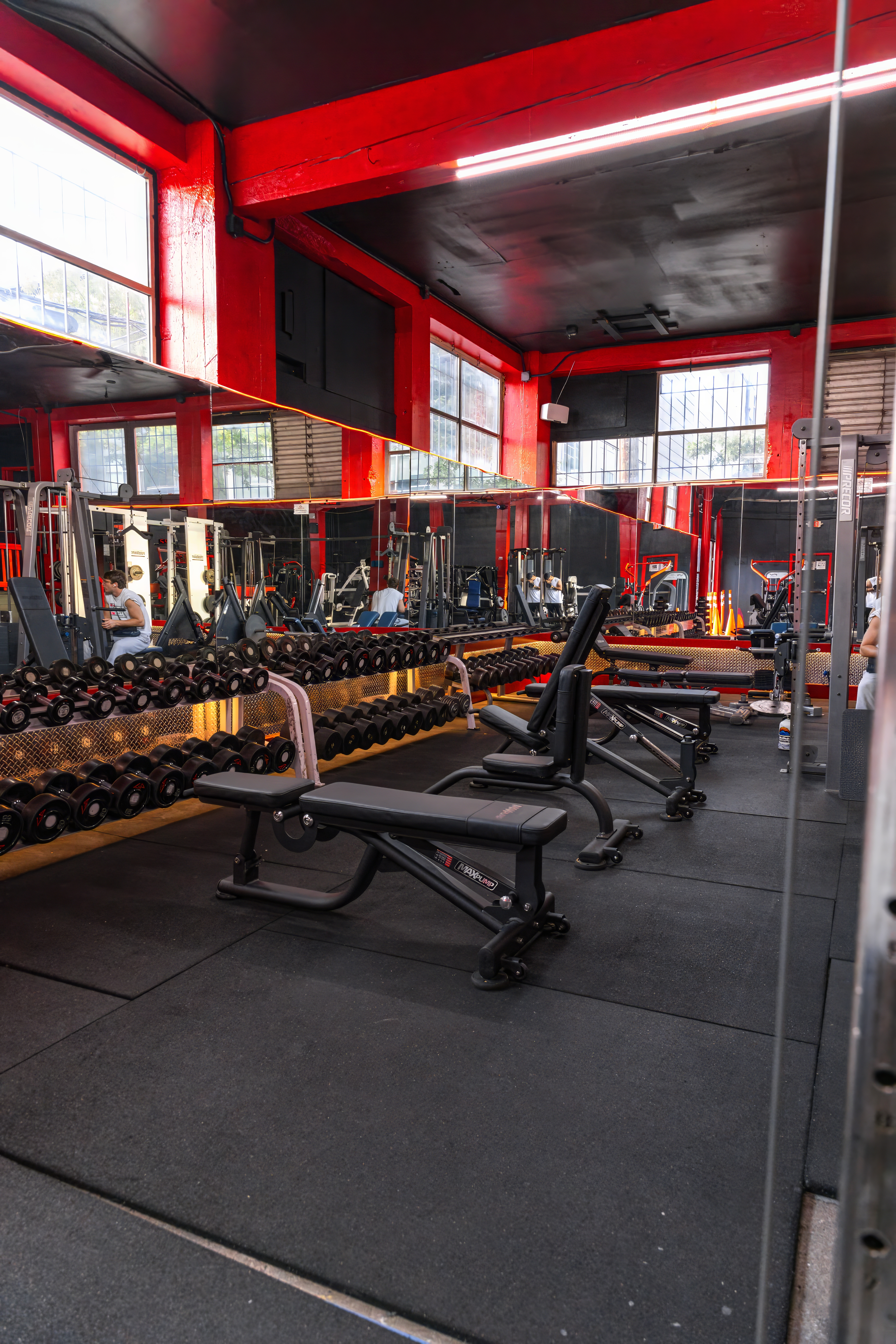 Expansive free weight area showing the full dumbbell rack, multiple utility benches, and the gym's mirrored walls and large windows